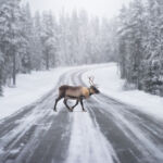 Møysalen Nemzeti Park