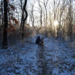 Nordic Verden - Frozen