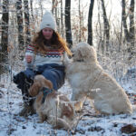 Nordic Verden - Frozen