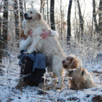 Nordic Verden - Frozen