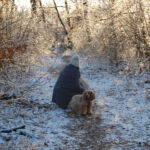 Nordic Verden - Frozen