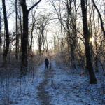 Nordic Verden - Frozen