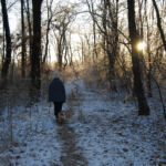 Nordic Verden - Frozen