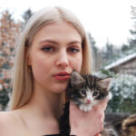 HU*Nordic Verden Gaudium - norvég erdei macska