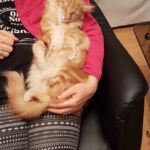 a gazdi ölében a legjobb