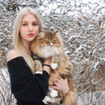 Lora - norvég erdei macska - és Panka