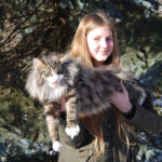 Végre leesett az első hó és Masek (Masek de Tsavo *ES), a norvég erdei macska kölyök, életében először ismerkedhetett vele.