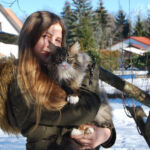 Végre leesett az első hó és Masek (Masek de Tsavo *ES), a norvég erdei macska kölyök, életében először ismerkedhetett vele.