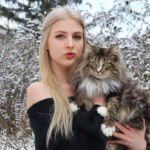 Rosita - norvég erdei macska - és Panka