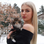 HU*Nordic Verden Spes - norvég erdei macska