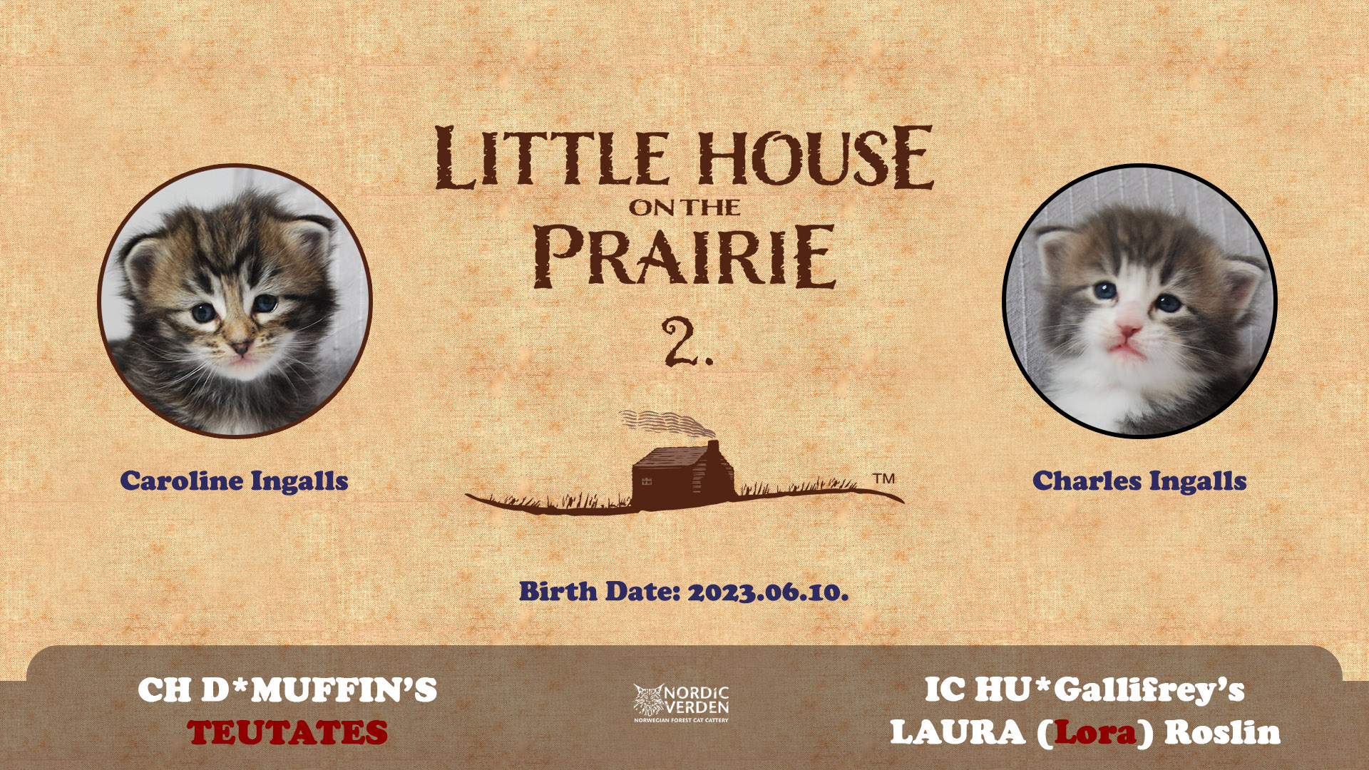 2023.06.10. Alom neve: Little House on the Prairie 2.